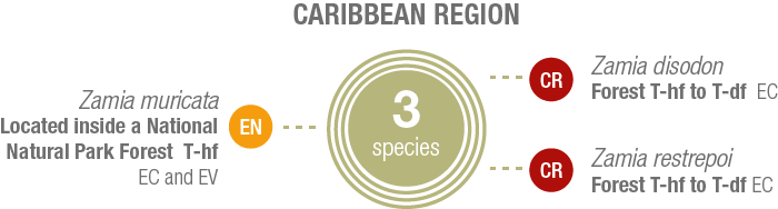 Species by region