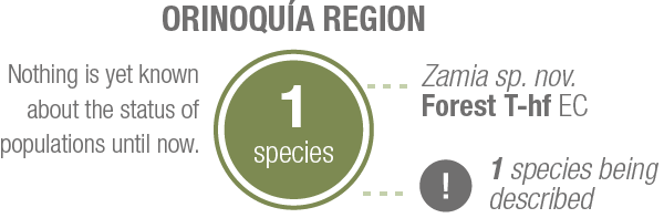 Species by region