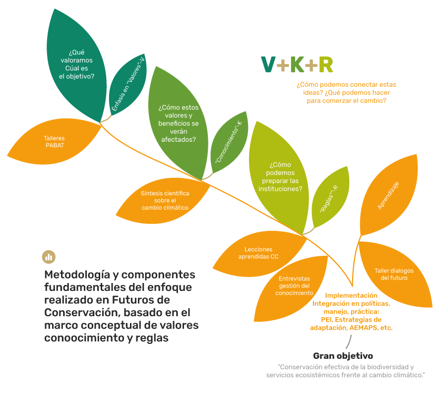 Metodología y componentes fundamentales del enfoque realizado en futuros de conservación, basado en marcos conceptuales de valores de conocimiento y reglas