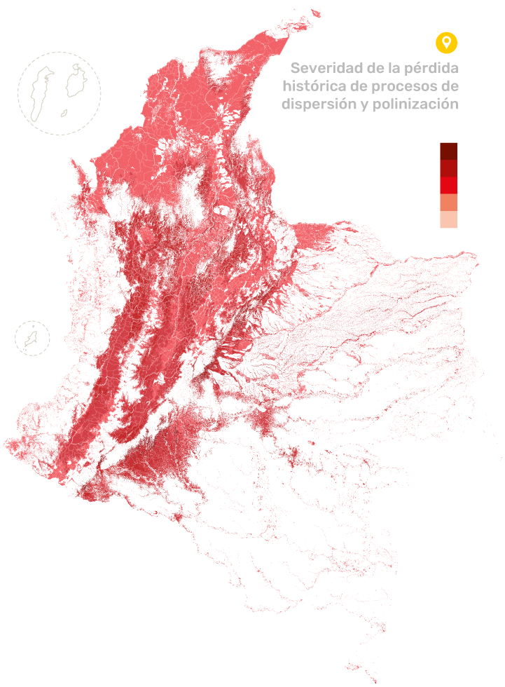 Mapa: Severidad de la pérdida histórica de procesos de dispersión y polinización