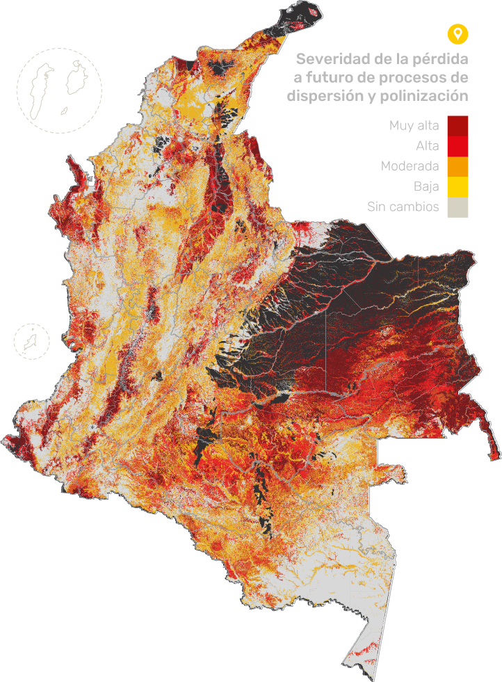 Mapa: Severidad de pérdida a futuro de procesos de dispersión y polinización