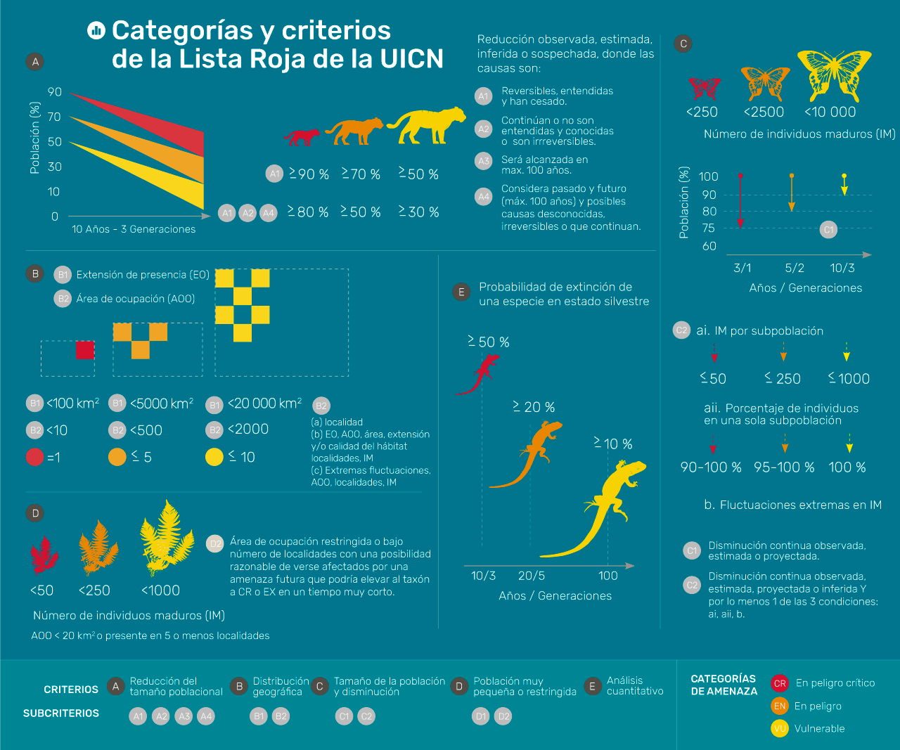 Gráfica: Categorías y criterios de la Lista Roja de UICN