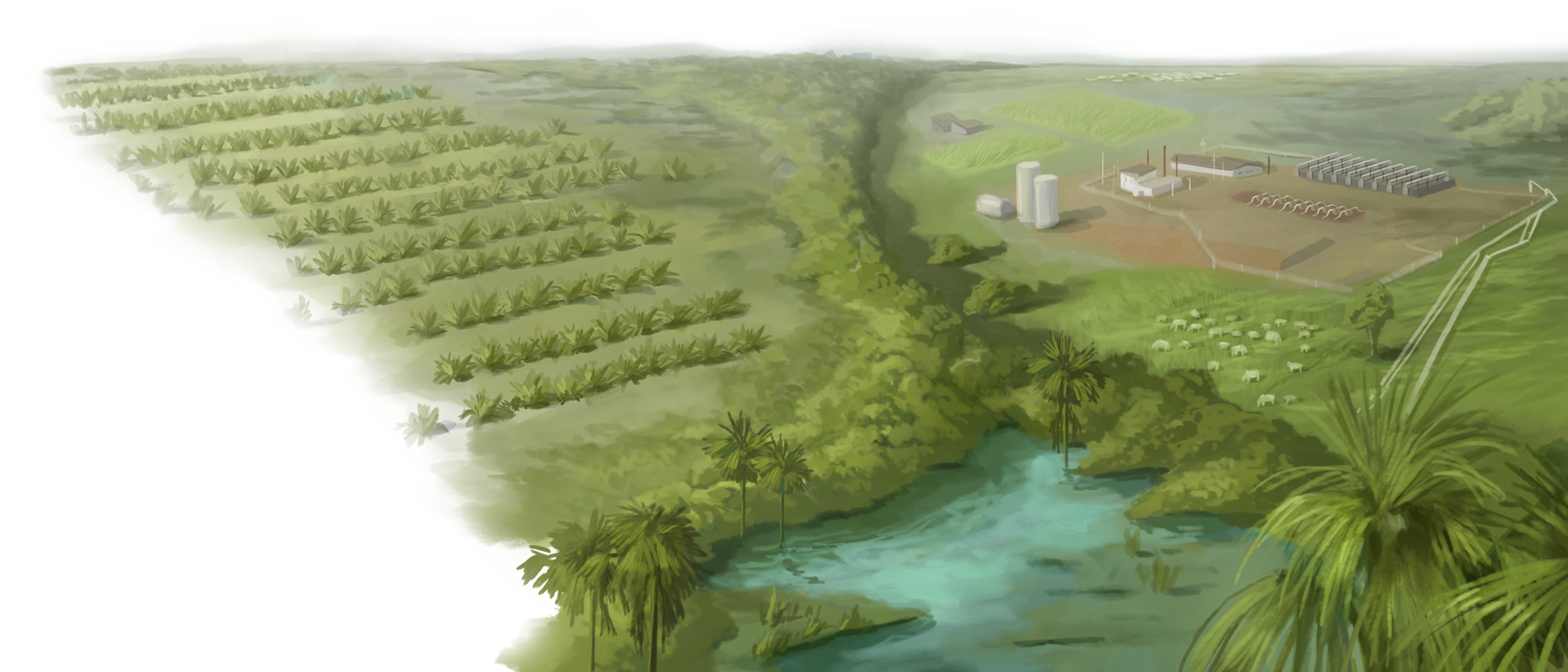 Frontera agropecuaria en la Orinoquia