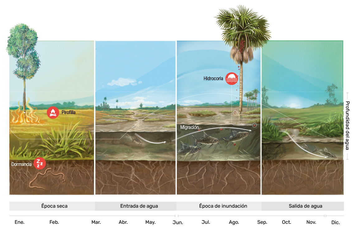 Fondo adaptaciones de la biodiversidad