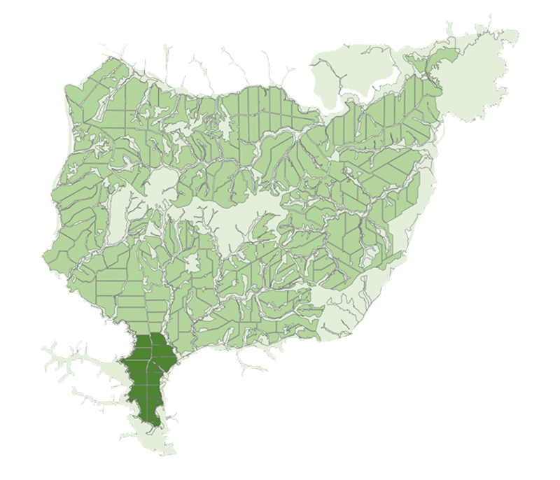 Mapa valor