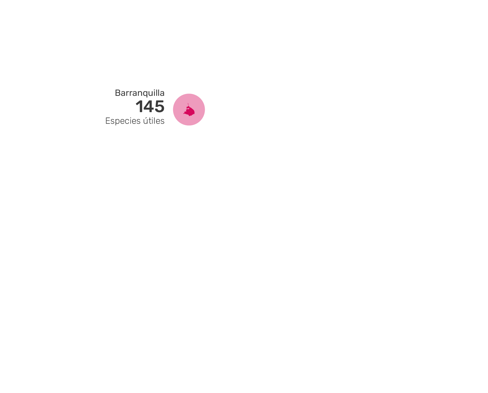 Capas de Barranquilla