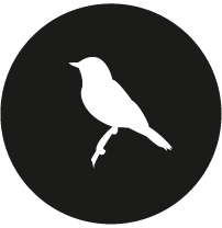 Ebird