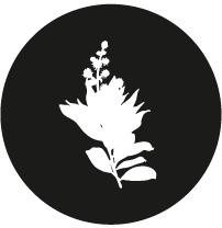 Plantas