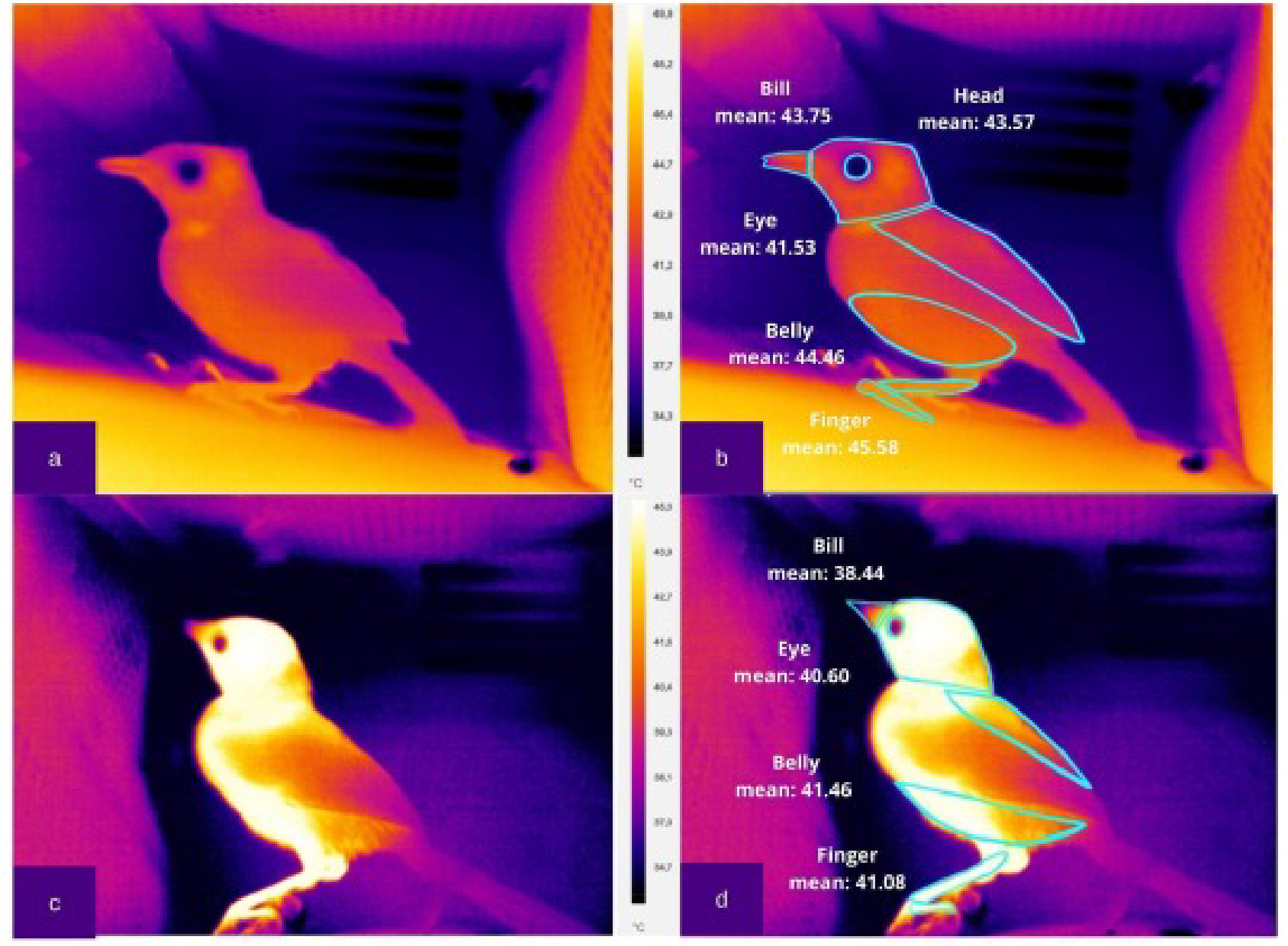Tomando medidas de temperatura
