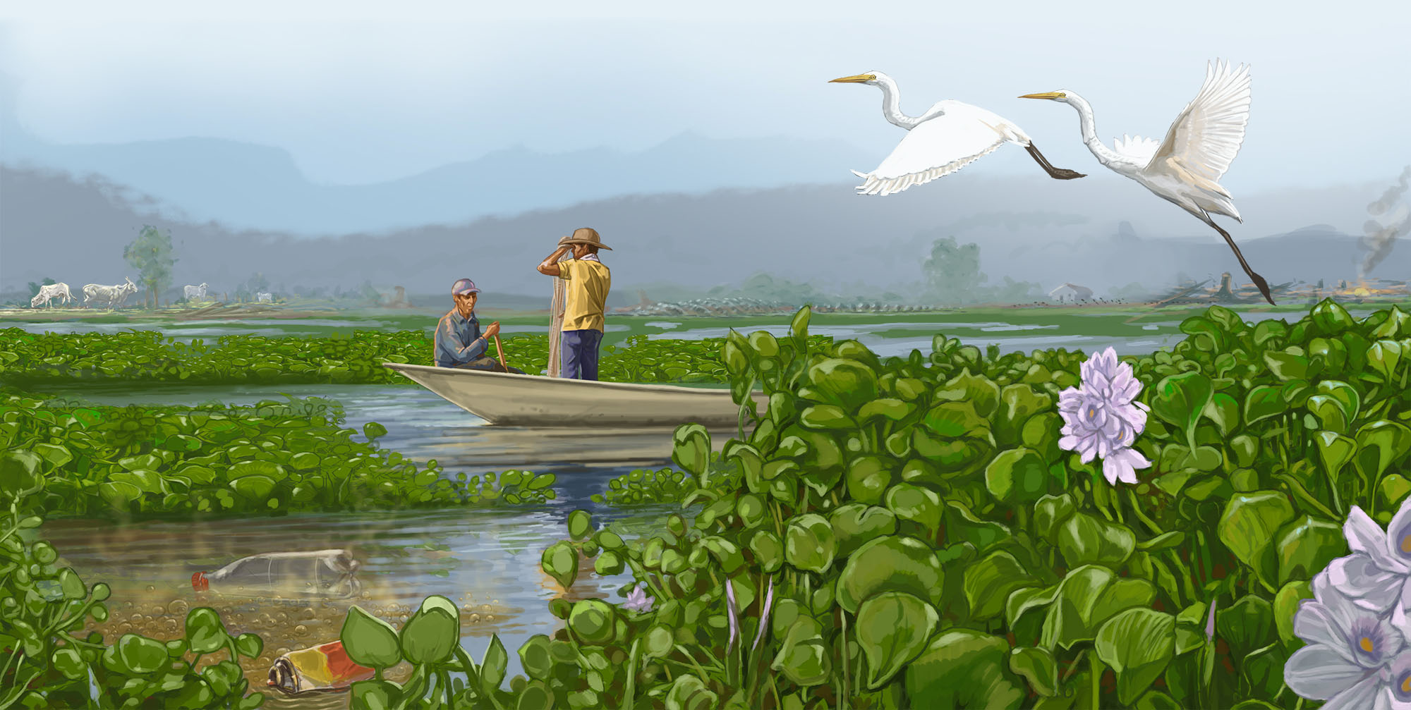Cienaga