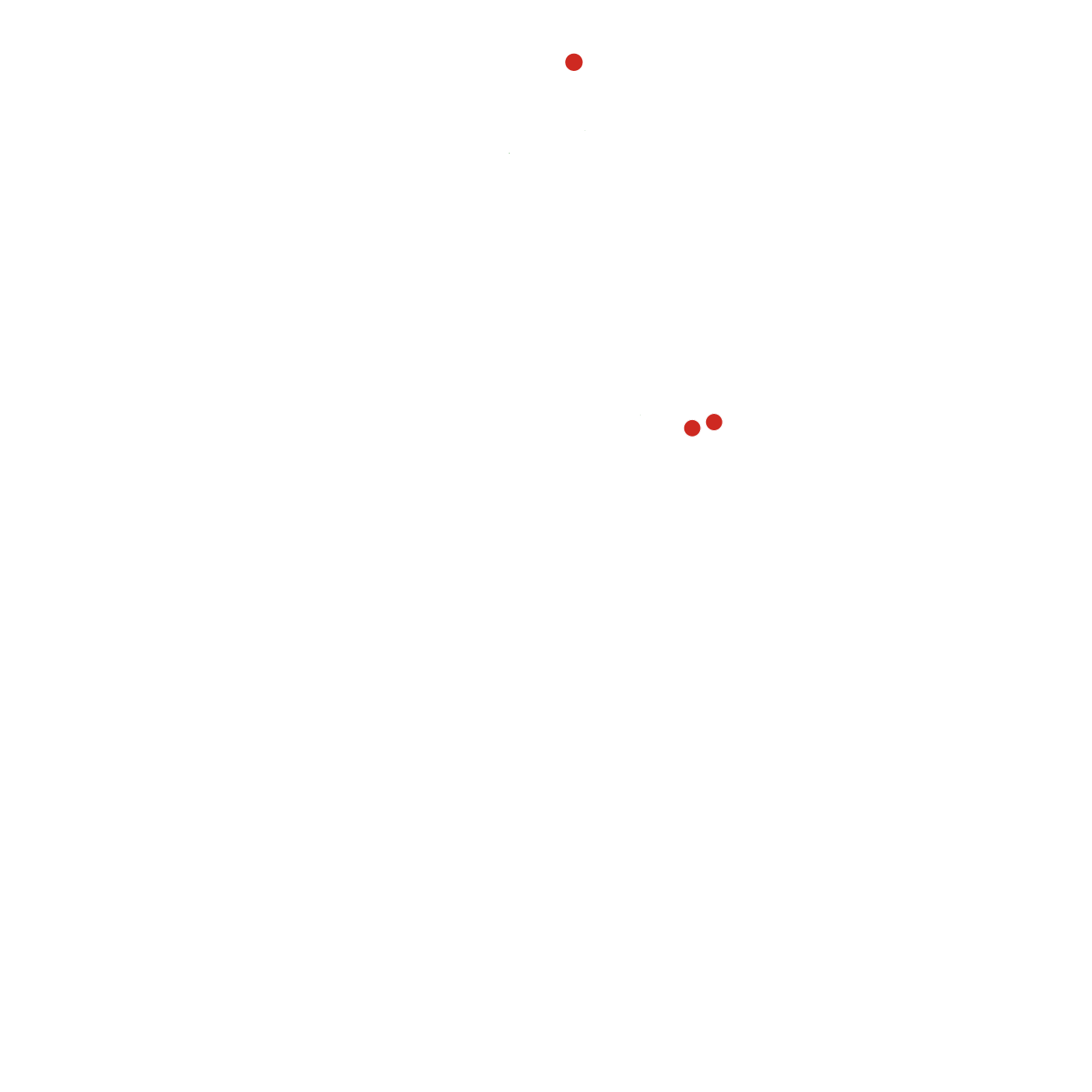 Ataques de puma
