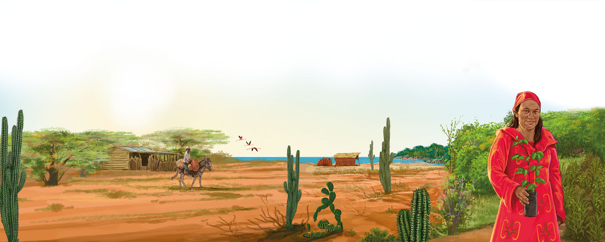 ilustracion