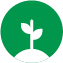 Nativa y cultivada