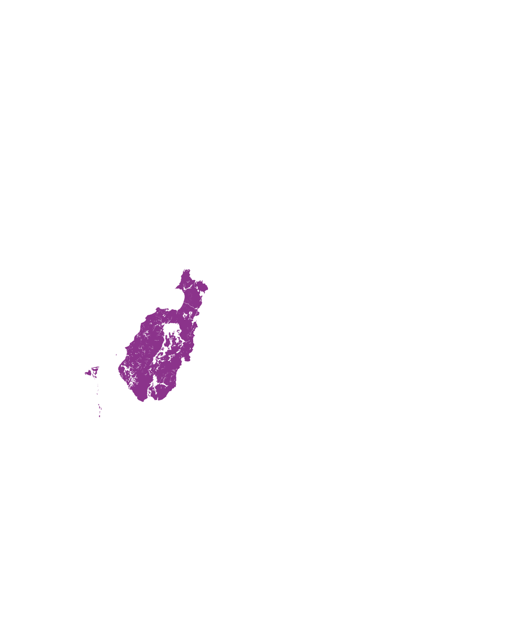 Zonas alta