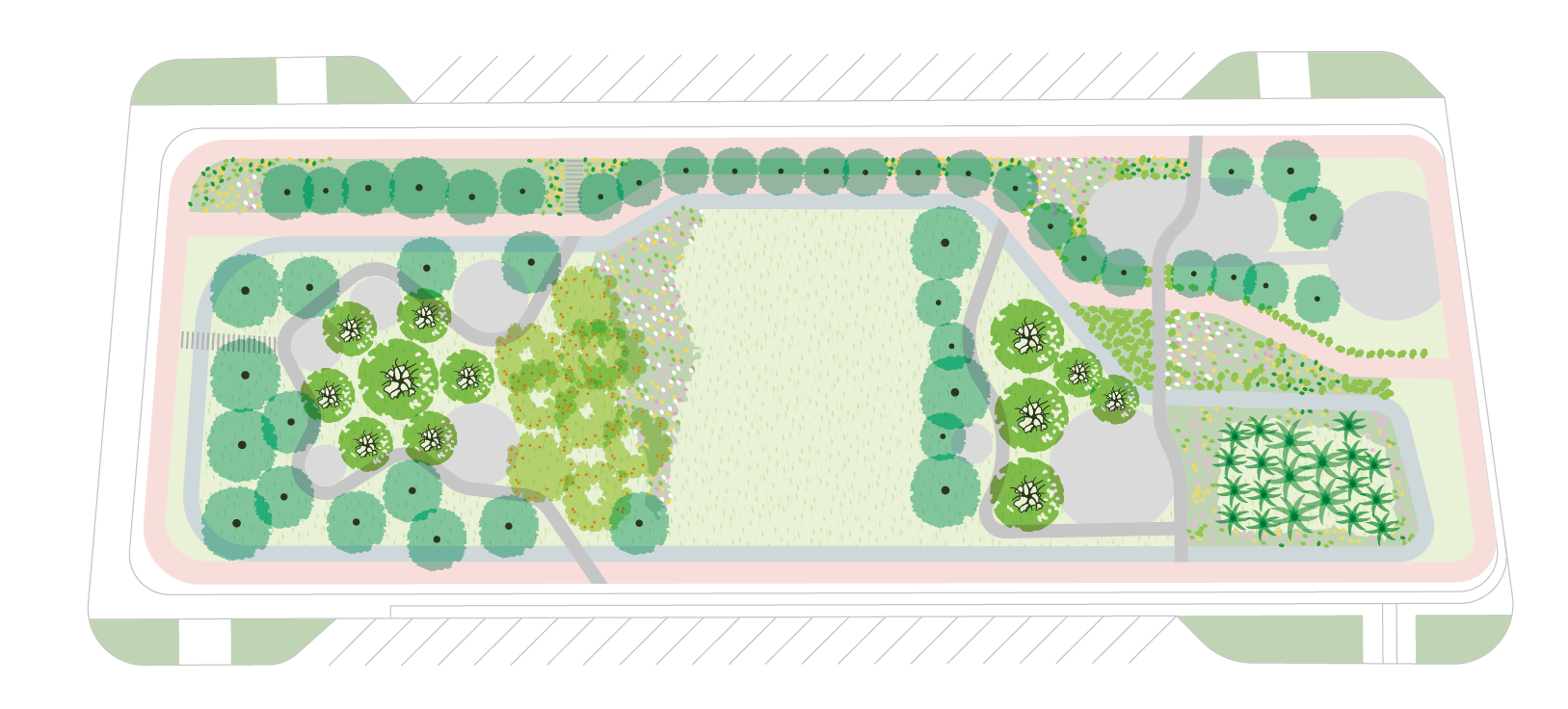 Plano de distribución de especies vegetales