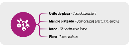 setos